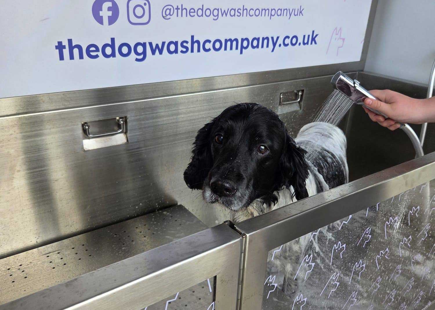 Our Locations | Dog Wash Machine for Businesses | The Dog Wash Company