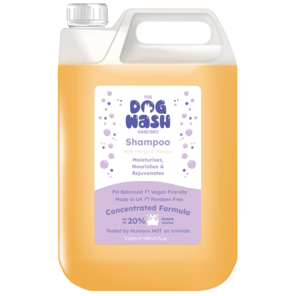 The dog wash company mango and banana shampoo