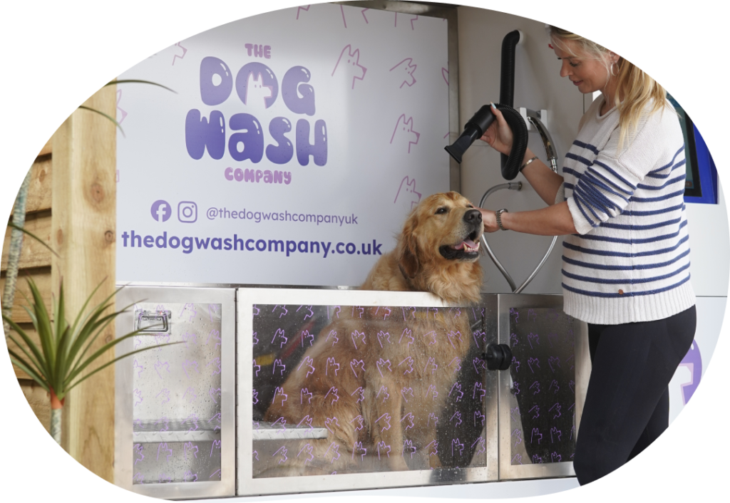 buy dog wash machine 